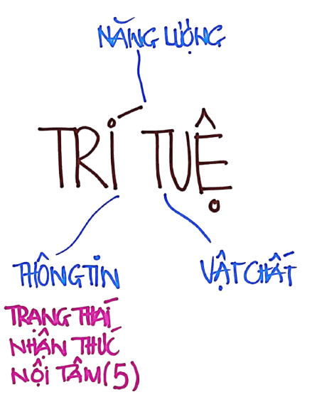 Góc thông tin của Trí tuệ