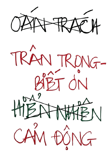 ánh sáng Trân Trọng - Biết Ơn