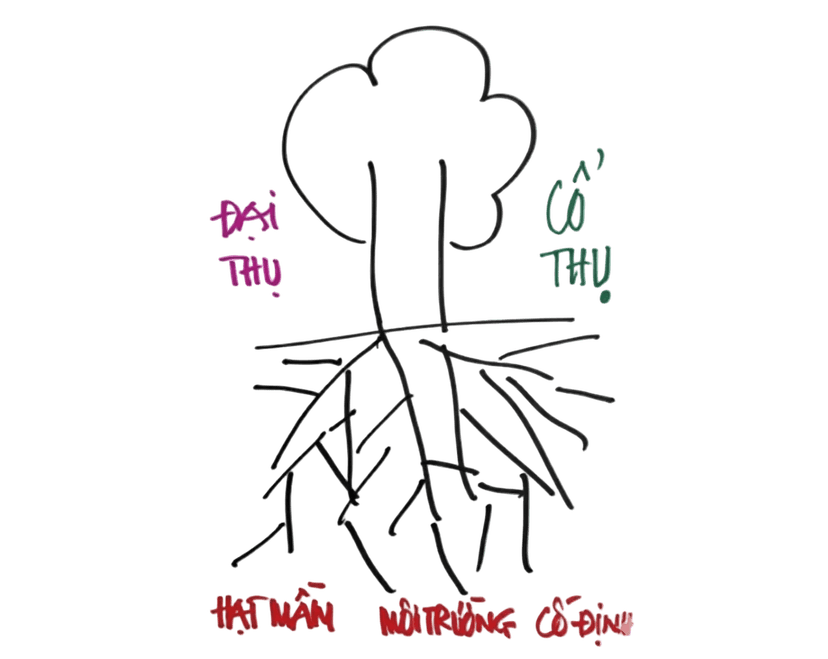 NGHỀ ƯỚC MƠ